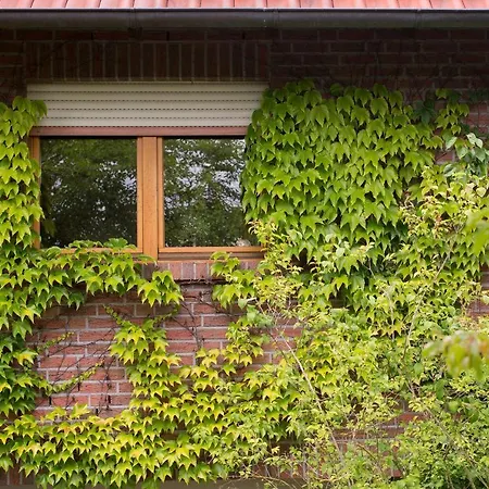 Ferienwohnung Apartment Meinersen